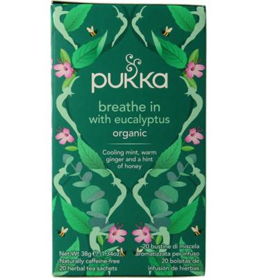 Pukka Breathe In Organic Thee