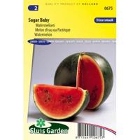 Watermeloen zaden Sugar Baby - thumbnail