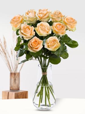 10 zalmkleurige rozen - XL rozen - Avalanche Peach