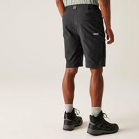 Regatta Highton II Shorts Long - thumbnail