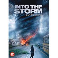 Into The Storm (DVD) - thumbnail