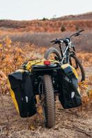 Burley Kard bur coho drager a zw - thumbnail