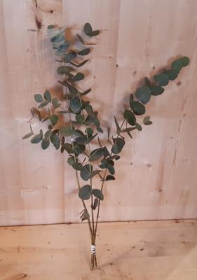 Kerstgroen Eucalyptus Warentuin Natuurlijk - Warentuin natuurlijk