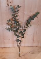 Kerstgroen Eucalyptus Warentuin Natuurlijk - Warentuin natuurlijk - thumbnail