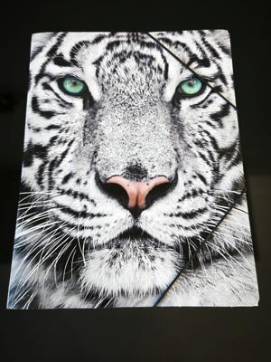 Set van 3 - Documentenmap A4 (Elastomap) - Tijger Design - 24×31 cm - Opbergmap met 3 kleppen & hoekelastiek