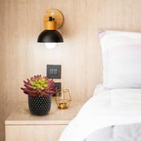 Echeveria Kunstcactus Burgundy 15cm - thumbnail