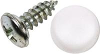 Dresselhaus No.-plate tapping screws 4.8 x 19 mm - thumbnail
