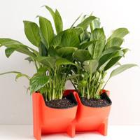 PP planter bloem pot muur opknoping tuin opknoping stapelbare tuin benodigdheden (rood) - thumbnail