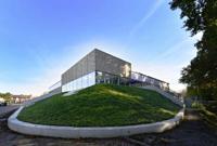 Plantenmat vasteplanten maagdenpalm Vinca Atropurpurea'prijs per 1m2 cm Covergreen - Covergreen - thumbnail