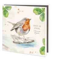 Kaartenmapje Birds in spring, Michelle Dujardin 10 Stuks - thumbnail