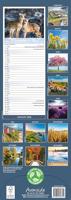 Seasons Slim Calendar 2026 Slimline Calendar - 12 Month - thumbnail