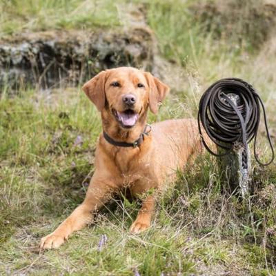 TRIXIE HONDENRIEM RUSTIC SLEEPLIJN VETLEER DONKERBRUIN 10 MTRX0,8 CM