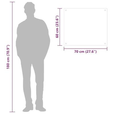 VidaXL Spatschermen keuken 2 st 70x60 cm gehard glas wit VidaXL Spatschermen keuken 2 st 70x60 cm gehard glas wit