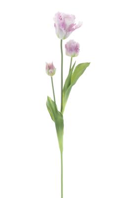 PSO Parrot tulip spray Sally lavender 71 cm kunstbloem Erutan Avon - Erutan avon