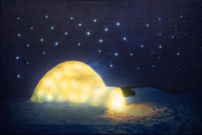 Led Indoor Canvas 38X58Cm 42 Fiber Optic Stars + Lighte - Annas collection