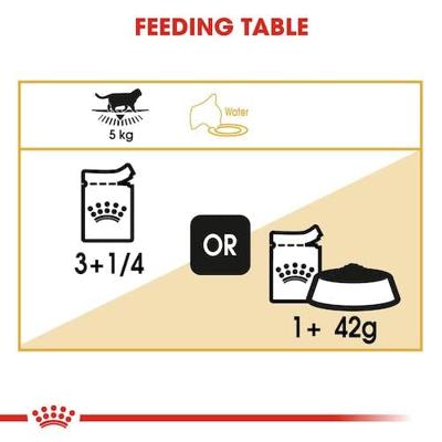 Royal Canin Adult British Shorthair kattenvoer Natvoer (12x85g) - thumbnail