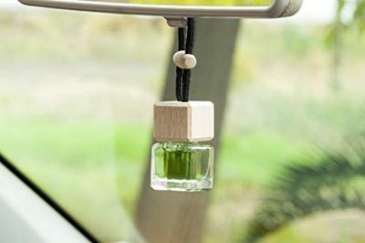 Auto luchtverfrisser Paradise Scents Mojito