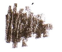 Benecos Wenkbrauwpotlood Bruin - thumbnail