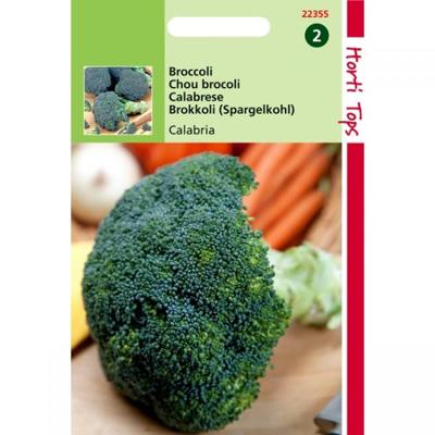 Zaden Broccoli Calabria Hortitops - Hortitops Zaden Broccoli Calabria Hortitops - Hortitops