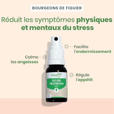 Herbalgem Vijgenboom Bio Spray 15ml Herbalgem Vijgenboom Bio Spray 15ml