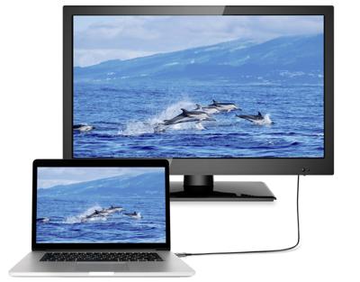 SpeaKa Professional SP-8821972 HDMI-kabel HDMI Aansluitkabel HDMI-A-stekker, HDMI-A-stekker 50.00 m Zwart 8K UHD SpeaKa Professional SP-8821972 HDMI-kabel HDMI Aansluitkabel HDMI-A-stekker, HDMI-A-stekker 50.00 m Zwart 8K UHD