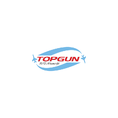 Top Gun Park Flite Cessna 182 Skylane TX+RX Combo