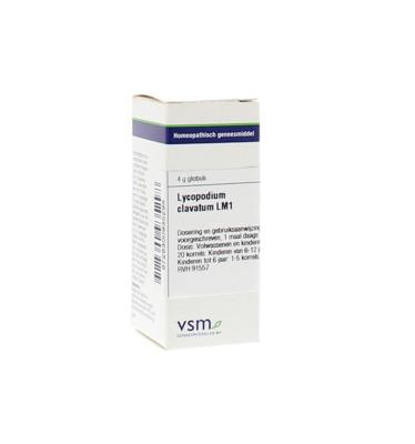 Lycopodium clavatum LM1