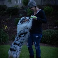 Chuckit max glow ultra fetchstick groen - thumbnail