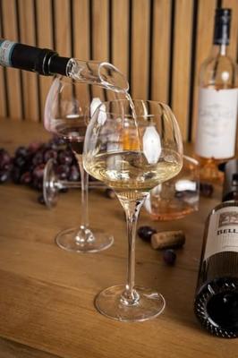 Sareva Wijnopener Set (met wijnstopper, foliesnijder & schenktuit)