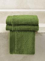 De Witte Lietaer De Witte Lietaer gastendoek Excellence 40x60 cactus - thumbnail