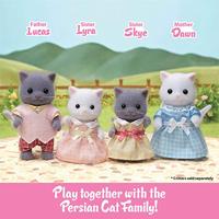 Sylvanian Families drieling Perzische kat 5458 - thumbnail