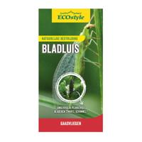 Gaasvlieg tegen bladluis ECOstyle - Ecostyle natuurlijke vijanden - thumbnail