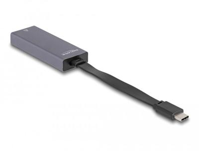 DeLOCK USB-C > 2.5 Gigabit LAN slim netwerkadapter DeLOCK USB-C > 2.5 Gigabit LAN slim netwerkadapter