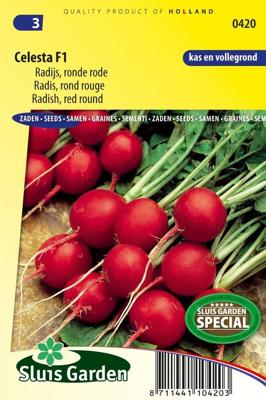 Radijs zaden Celesta F1