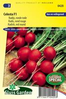 Radijs zaden Celesta F1 - thumbnail