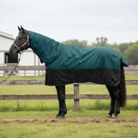 VidaXL Paardendeken donkergroen en zwart 95 cm polyester - thumbnail