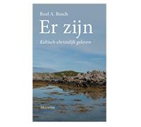 Er zijn Keltisch-christelijk geloven - Roel A. Bosch - ebook - thumbnail