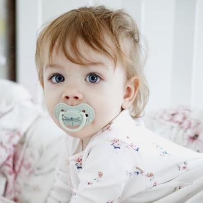 Difrax LOVI Dynamic Pacifier 6-18 Months Botanic Blue Green - Fopspeen Difrax LOVI Dynamic Pacifier 6-18 Months Botanic Blue Green - Fopspeen