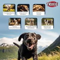 TRIXIE PLUCHE EEND BRUIN 38 CM - thumbnail