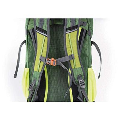 DÖRR Rugzak Outdoor Pro 32 32 l (l x b x h) 180 x 300 x 600 mm Groen 464015