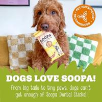 Soopa Dental Sticks met pompoen & wortel hondensnack Per 5 - thumbnail