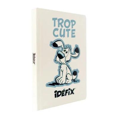 A5 Asterix Idefix Notitieboek A5 Asterix Idefix Notitieboek