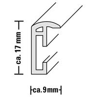 Hama 00066607 Wissellijst Papierformaat: 20 x 15 cm Goud - thumbnail