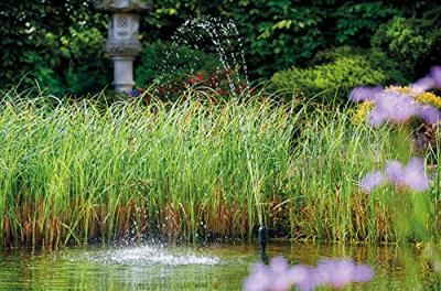 Oase Aquarius Fountain Set Classic 3000 E - Energy-Efficient with Various Spray Heads - thumbnail
