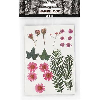 Creativ Company Gedroogde bloemen en bladeren lichtrood, 19dlg. - thumbnail