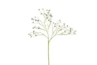 Decostar zijdebloem Prunus mume 90 cm blauw - thumbnail