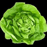 Jumbo Kropsla - thumbnail