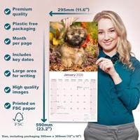 Lhasa Apso Kalender 2026 - thumbnail