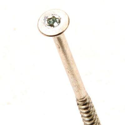 Spaanpl.schr.vz pk tx25 5.0X100/60 dd