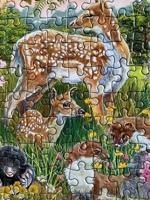 Gibsons puzzel wildlife Curious Creatures 1000 stukjes duurzaam karton - thumbnail